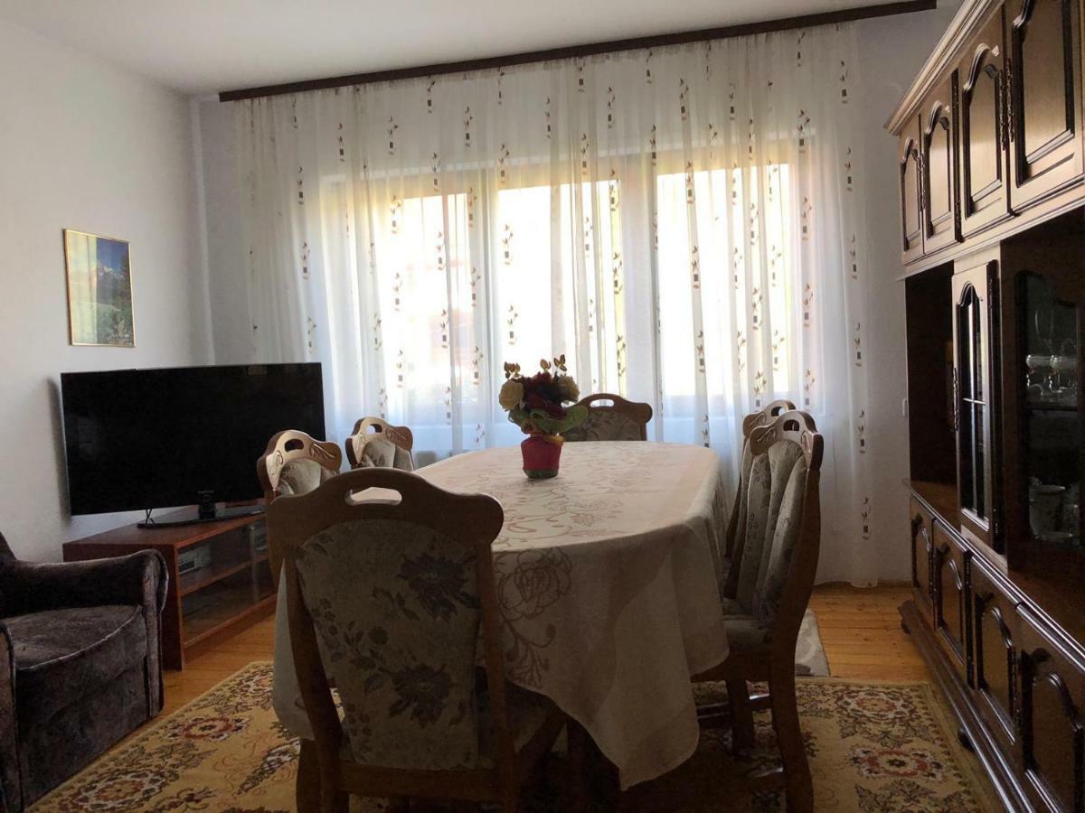 Willa Casa Ani Borşa Zewnętrze zdjęcie