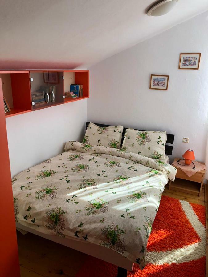 Willa Casa Ani Borşa Zewnętrze zdjęcie